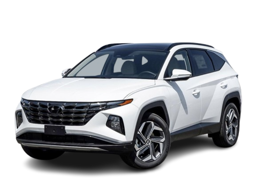 téléchargement (14)